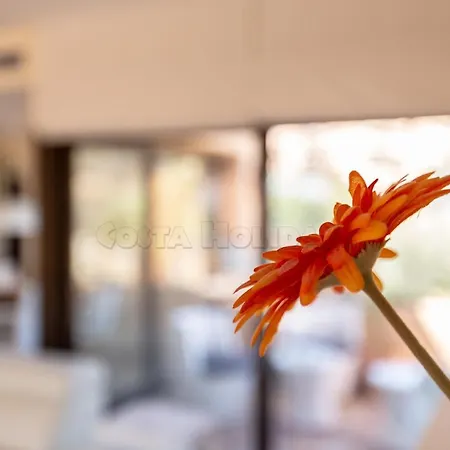 Samos Apartment *